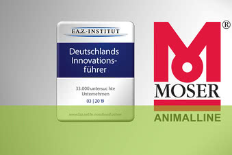 Innovationsführer
